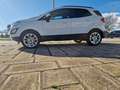 Ford EcoSport 1.0 EcoBoost Trend 100 (4.75) Blanco - thumbnail 35