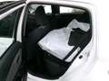 Toyota Yaris Yaris 1,0 VVT-i Active Weiß - thumbnail 6