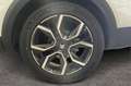 Citroen E-C4 X X motore elettrico 136 CV Shine Blanc - thumbnail 8