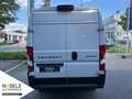 Peugeot Boxer 335 2.2 BlueHDi L3H2 3,5t Weiß - thumbnail 6