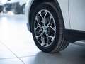 BMW X1 xDrive 18d xLine 36 MESI DI GARANZIA Blanco - thumbnail 3