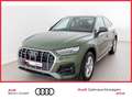 Audi Q5 advanced 45 TFSI quattro S tronic Grün - thumbnail 1