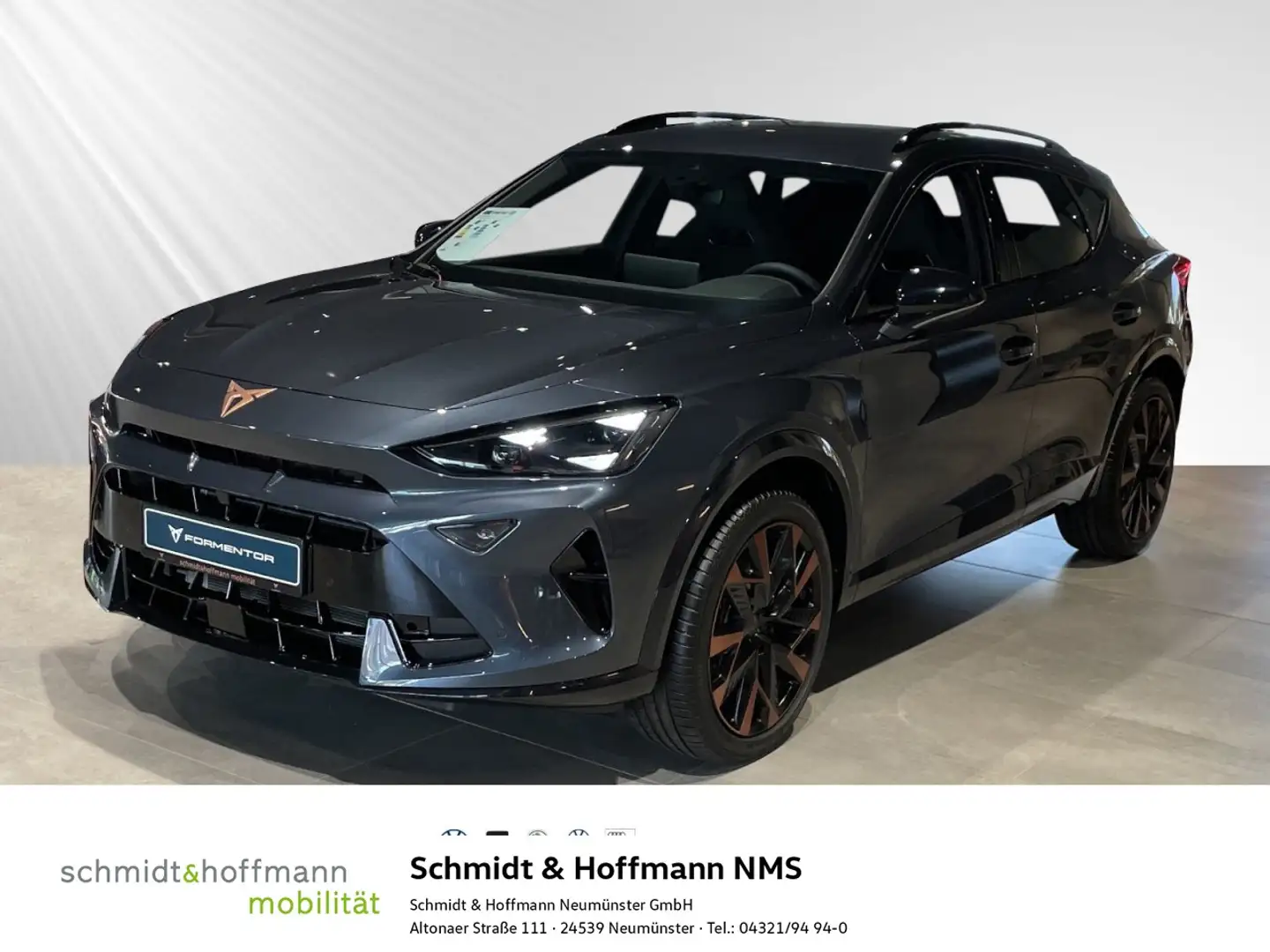 CUPRA Formentor 1.5 eTSI 7-Gang-DSG Matrix Kamera Sennheiser Grau - 1