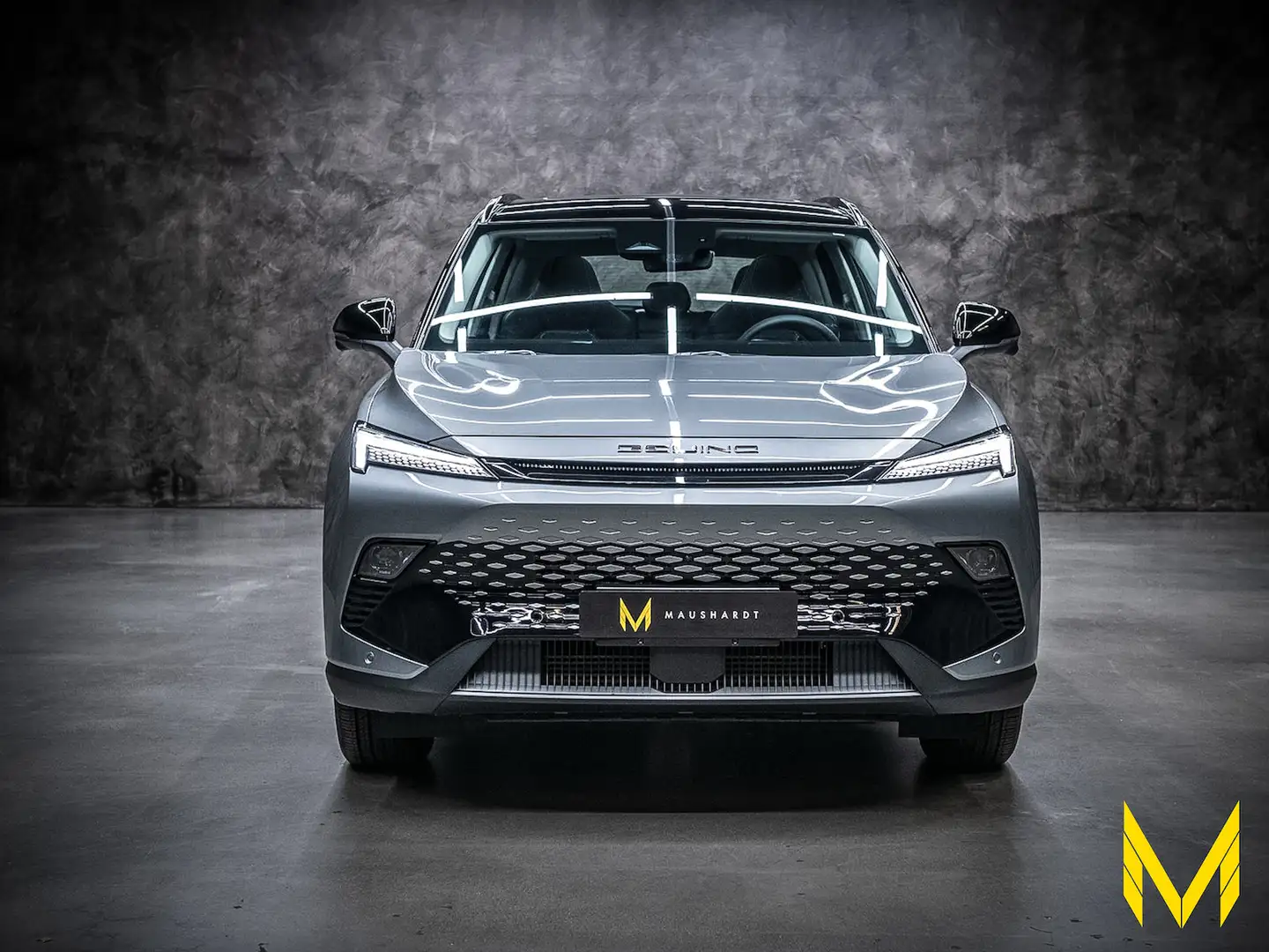 BAIC Beijing X55 inkl. Vollaus.+Konservierung+3Jahre Garantie Gris - 2