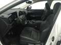 Lexus NX 350h Business City 4WD Blanc - thumbnail 3