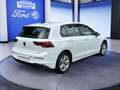Volkswagen Golf 1.5 DSG Life *Business Premium*Head-Up* Weiß - thumbnail 5