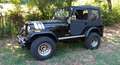 Jeep CJ-5 v8 amc 304 Schwarz - thumbnail 2