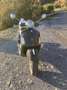 Piaggio GTS 300 super - thumbnail 3