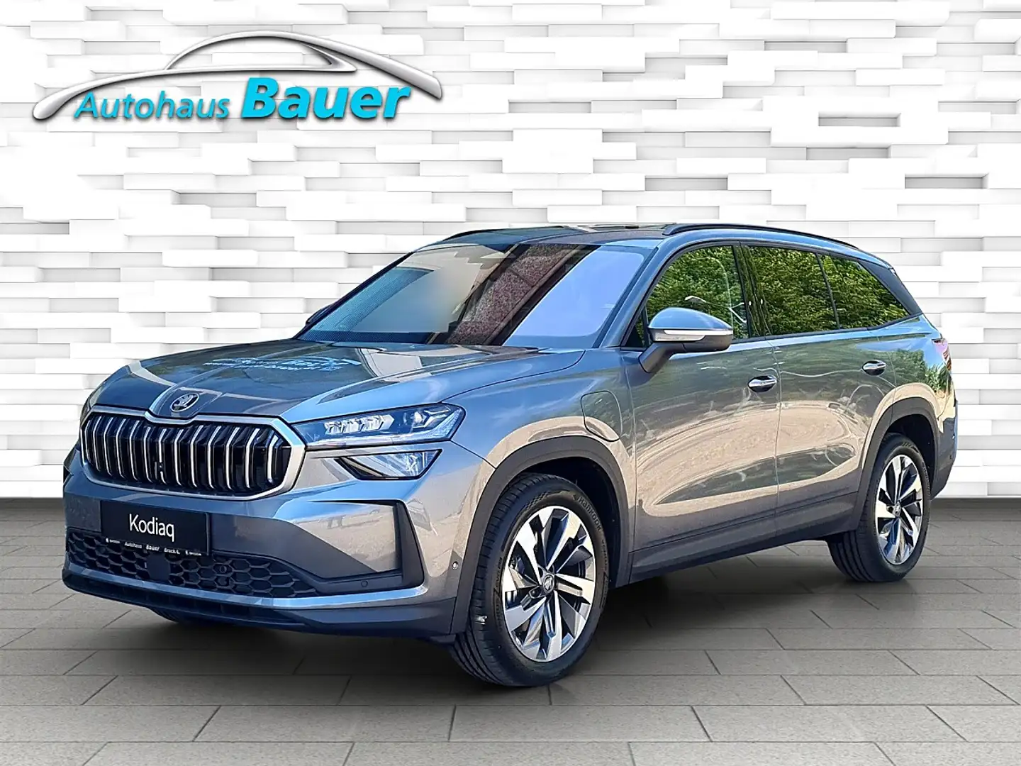 Skoda Kodiaq 1,5 TSI iV PHEV Selection DSG Grau - 1