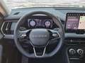 Skoda Kodiaq 1,5 TSI iV PHEV Selection DSG Grau - thumbnail 11