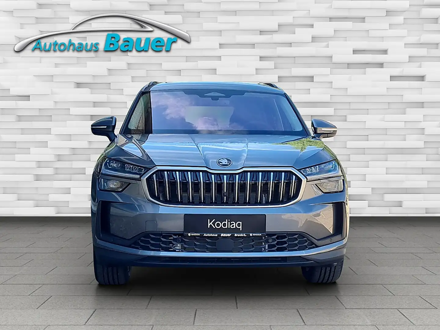 Skoda Kodiaq 1,5 TSI iV PHEV Selection DSG Grau - 2