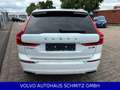 Volvo XC60 B4 Aut. Inscription AWD Panorama BLIS Wit - thumbnail 5