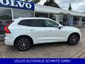 Volvo XC60 B4 Aut. Inscription AWD Panorama BLIS Wit - thumbnail 6