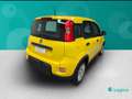 Fiat Panda 1.0 FireFly Hybrid Amarillo - thumbnail 8