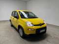 Fiat Panda 1.0 FireFly Hybrid Galben - thumbnail 1