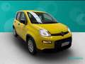 Fiat Panda 1.0 FireFly Hybrid Galben - thumbnail 1