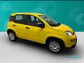 Fiat Panda 1.0 FireFly Hybrid Amarillo - thumbnail 7