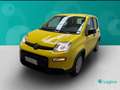Fiat Panda 1.0 FireFly Hybrid Amarillo - thumbnail 5