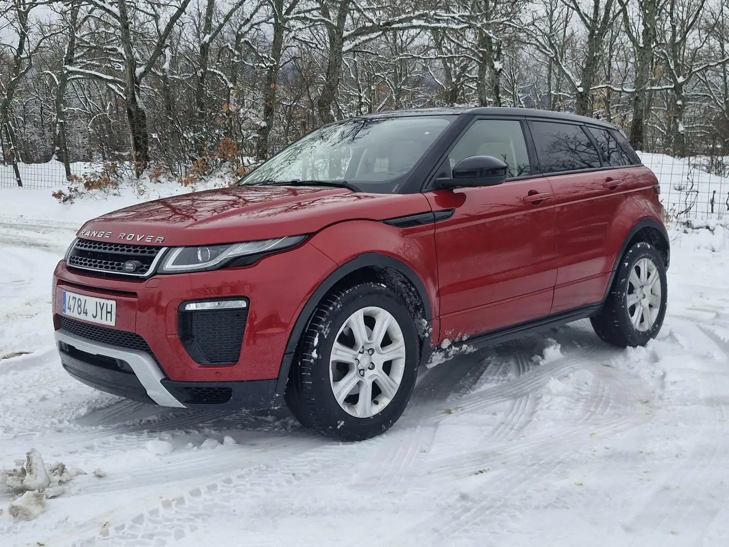 Land Rover Range Rover Evoque Range Rover Evoque 2.0TD4 SE Dynamic 4WD Aut. 150 Rojo - 1