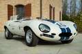 Jaguar D-Type JAGUAR D-TYPE REPLICA Bianco - thumbnail 1