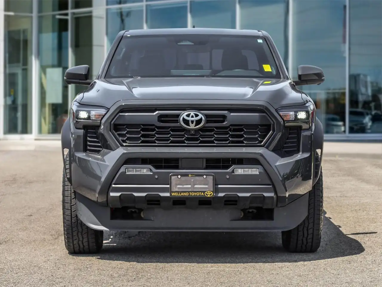 Toyota Tacoma fotografie Toyota Tacoma