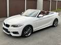 BMW 220 220i Cabrio Sport 1.HAND AUT M SPORTPAKET 18 ZOLL Weiß - thumbnail 1