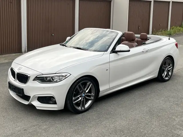 BMW 220 220i Cabrio Sport 1.HAND AUT M SPORTPAKET 18 ZOLL