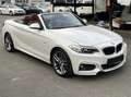 BMW 220 220i Cabrio Sport 1.HAND AUT M SPORTPAKET 18 ZOLL Weiß - thumbnail 10
