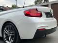 BMW 220 220i Cabrio Sport 1.HAND AUT M SPORTPAKET 18 ZOLL Weiß - thumbnail 6