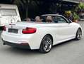 BMW 220 220i Cabrio Sport 1.HAND AUT M SPORTPAKET 18 ZOLL Weiß - thumbnail 8