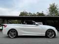 BMW 220 220i Cabrio Sport 1.HAND AUT M SPORTPAKET 18 ZOLL Weiß - thumbnail 9