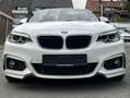 BMW 220 220i Cabrio Sport 1.HAND AUT M SPORTPAKET 18 ZOLL Weiß - thumbnail 11