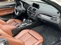 BMW 220 220i Cabrio Sport 1.HAND AUT M SPORTPAKET 18 ZOLL Weiß - thumbnail 16