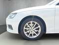 Audi A4 30 2.0 TDI advanced (EURO 6d) Weiß - thumbnail 14