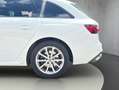Audi A4 30 2.0 TDI advanced (EURO 6d) Weiß - thumbnail 15