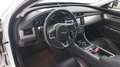 Jaguar XF 2ª SERIE (X260) SPORTBRAKE 2.0 D 180 CV AUT. PRES Bianco - thumbnail 8