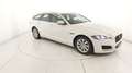 Jaguar XF 2ª SERIE (X260) SPORTBRAKE 2.0 D 180 CV AUT. PRES Bianco - thumbnail 6