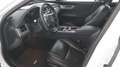 Jaguar XF 2ª SERIE (X260) SPORTBRAKE 2.0 D 180 CV AUT. PRES Bianco - thumbnail 7