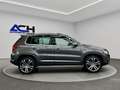 Volkswagen Tiguan 2.0 TSI DSG 4Motion Sport BI-XENON*NAVI Grau - thumbnail 21