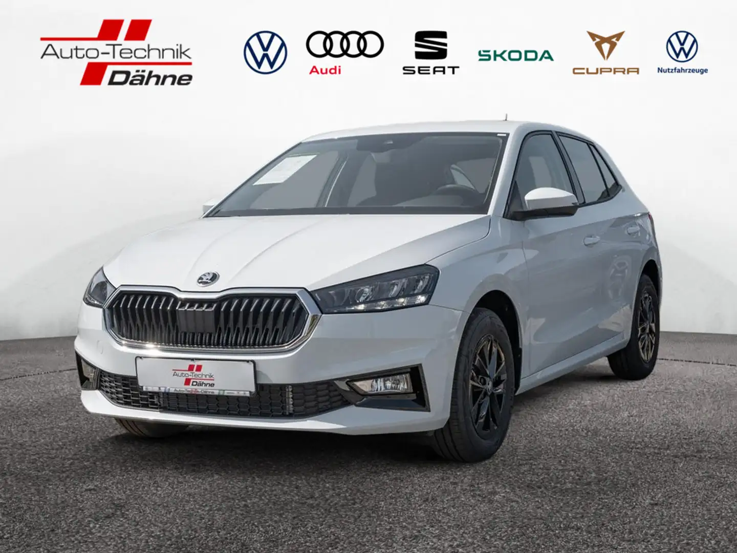 Skoda Fabia 1.0 TSI Selection PDC SHZ NAVI LED Weiß - 1