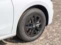 Skoda Fabia 1.0 TSI Selection PDC SHZ NAVI LED Weiß - thumbnail 5