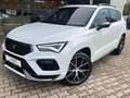 CUPRA Ateca 1.5 TSI DSG LED Pano Navi ACC Totw 360° 19" Weiß - thumbnail 1