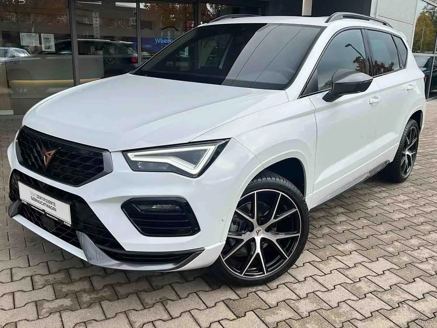 CUPRA Ateca 1.5 TSI DSG LED Pano Navi ACC Totw 360° 19" Weiß - 1