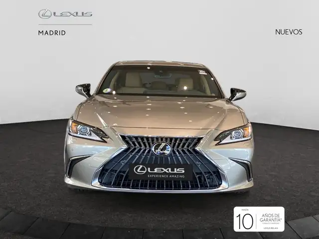 Lexus ES 300 300h Premium