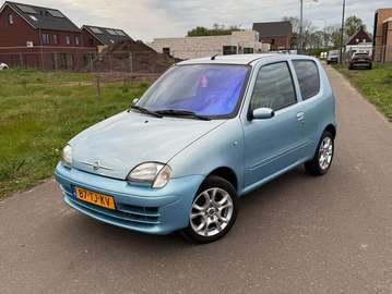 Seicento 1.1 Young