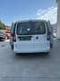 Volkswagen Caddy Origin 2.0 TDI 90kW (122CV) 4MOTION Blanco - thumbnail 4