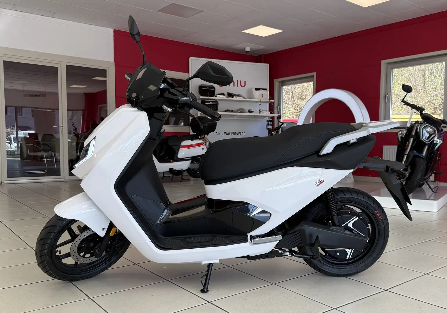 Niu FQi 500 Elektroroller 95 km/h - 2