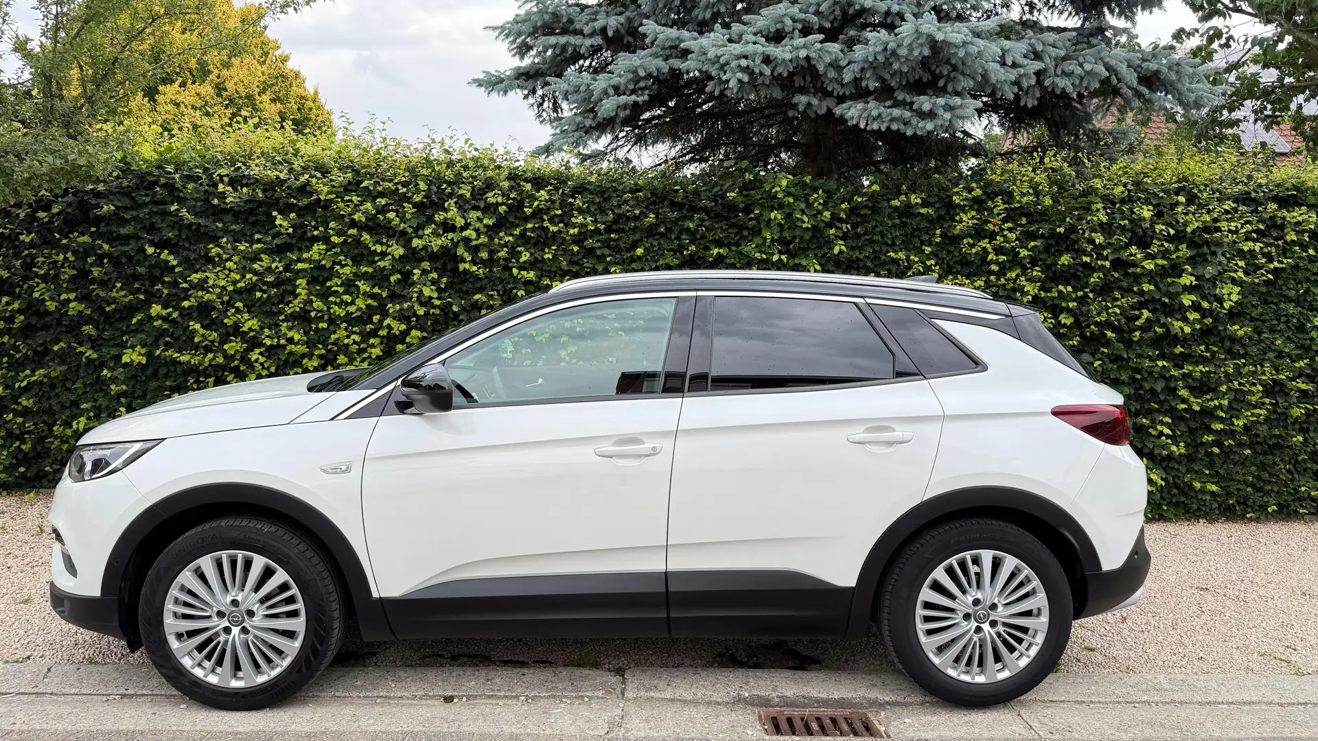 Opel Grandland X Grandland X 1.2 Start/Stop Automatik Selection Wit - 1