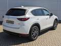 Mazda CX-5 2.2l Sports-Plus AWD Nappaleder AHK Bose 1.Hand Weiß - thumbnail 6