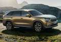 Skoda Kodiaq 2.0TDI AB tech Style 4x2 DSG 110kW Azul - thumbnail 29